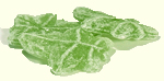 Waldmeister