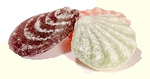 Eckerförder Muscheln