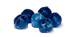 Blaubeeren