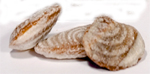Eckerfoerder Muscheln - Lakritz